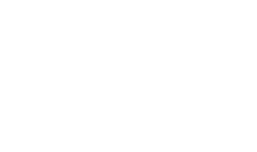 AGENCE 911